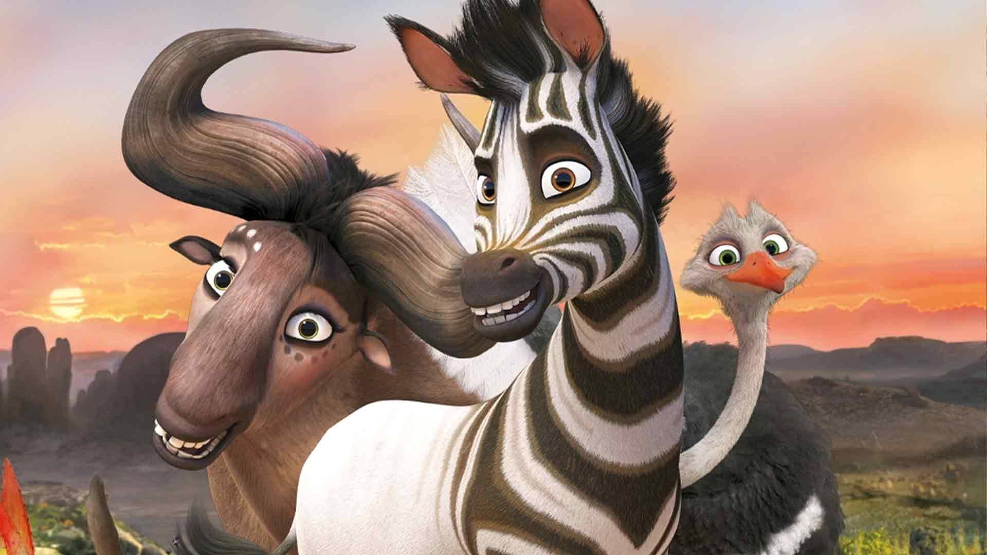 Cesur Zebra Cesur Zebra
